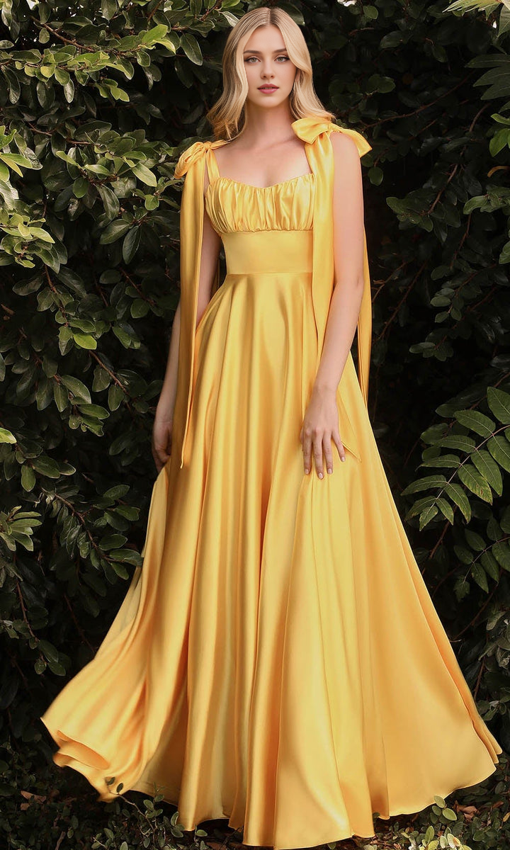 Robes de soirée pour femmes / Robe de bal trapèze à lacets et décolleté plongeant